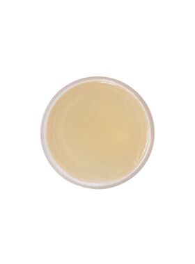 美国PCA Skin Blemish Control Bar 90g 3.2oz pHaze 32