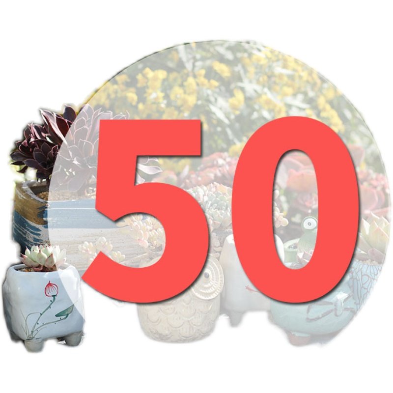 直播专用链50号,淘宝优惠券,粉丝福利购,淘宝优惠卷