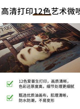 艺术微喷无框画德国进口油画布