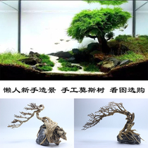 Aquatic view tree Brazilian tree Moss tree fish tank tree grass cylinder building scenery combined natural decoration welcome guest pine wood tree