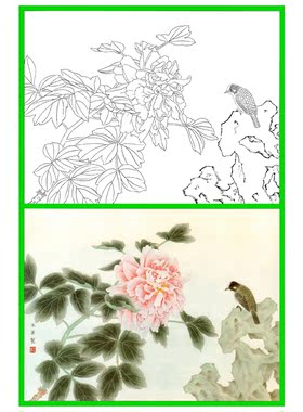 工笔画白描底稿实物线描打印画稿