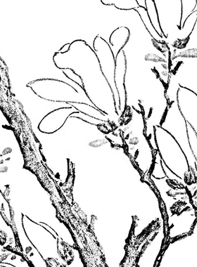 工笔画白描底稿玉兰图文征明花鸟
