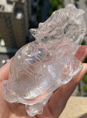 天然白水晶龙龟摆件办公礼物饰品裸石摆件一物一图