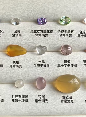 鉴定仪器标本套装特征典型带答案