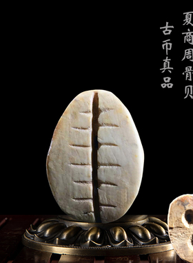 先秦古钱币骨贝美品保真