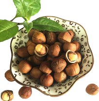 Three decades old shop 2023 New goods hazelnut Northeastern Ties Kaiyuan Tieling original taste Handmade part of the opening small hazelnut