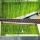 Simulated willow leaf wall hanging decoration green plants fake flower rattan
