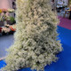 Simulated star bouquet of living room home decoration plastic