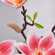High-end Chinese-style magnolia flower simulation ornaments dried flowers bouquet dining table table top fake flowers plastic flower arrangement decoration decoration