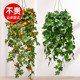 Simulated wall-mounted green plant spider plant living room rattan decoration