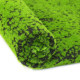 Simulated green moss lawn landscaping plant decoration shop
