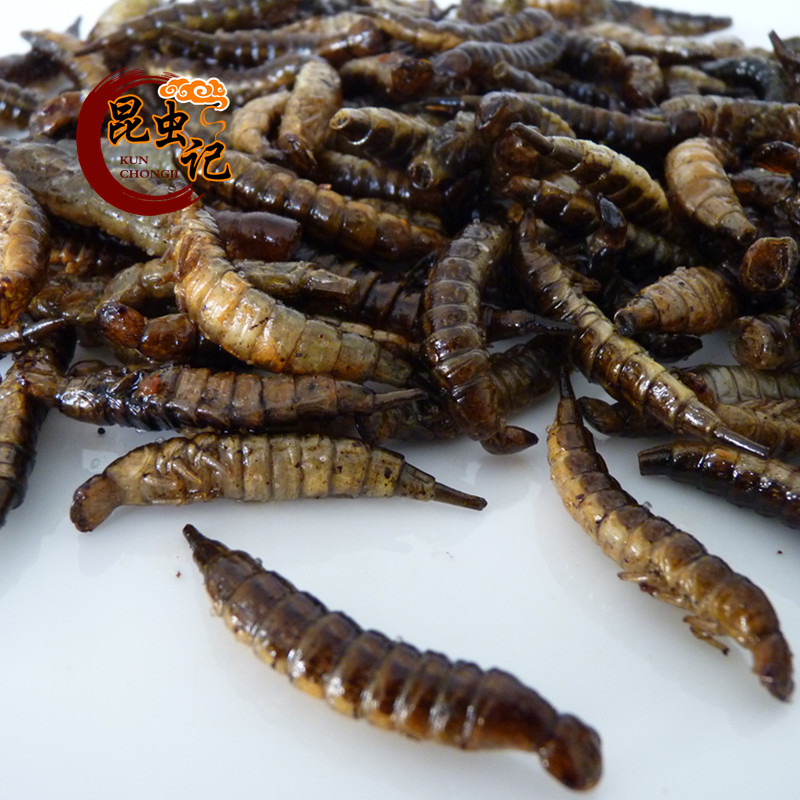 龙虱 新人首单立减十元 22年4月 淘宝海外 龙虱 新人首单立减十元 22年4月 淘宝海外