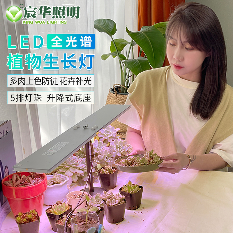 宸华全光谱LED植物补光灯多肉上色升降立式花卉植物生长补光灯