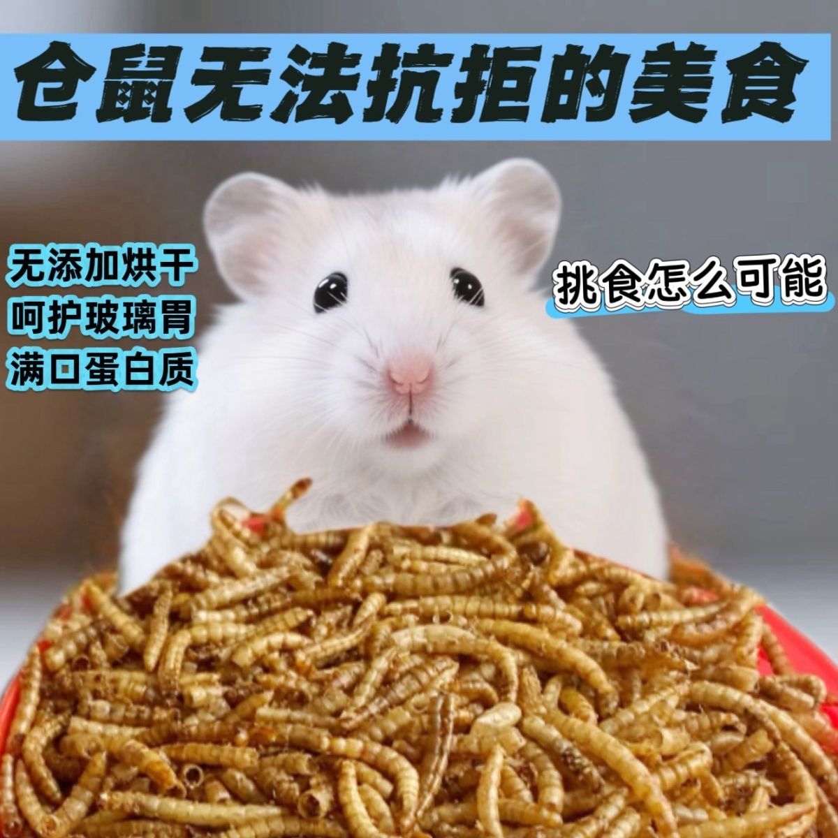 仓鼠零食面包虫干鹦鹉玄凤鸟粮乌龟锦鲤增色粮食饲料通用粮黄粉虫 - 图3