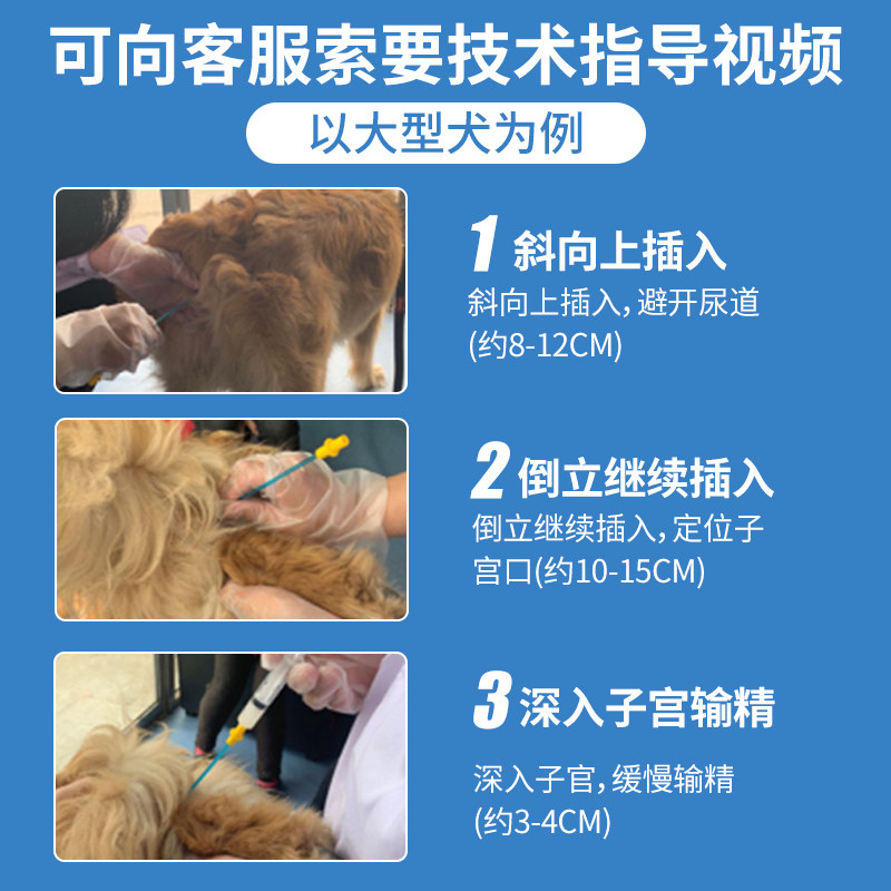 狗狗输精管兽用犬用输精工具宠物一次性采精人工授精管狗配种神器,淘宝优惠券,粉丝福利购,淘宝优惠卷