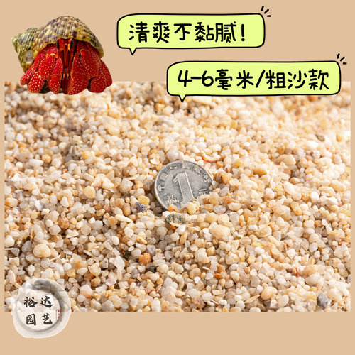 寄居蟹专用沙免洗海沙垫材保湿垫材底砂造景装饰铺面乌龟饲养箱 - 图1