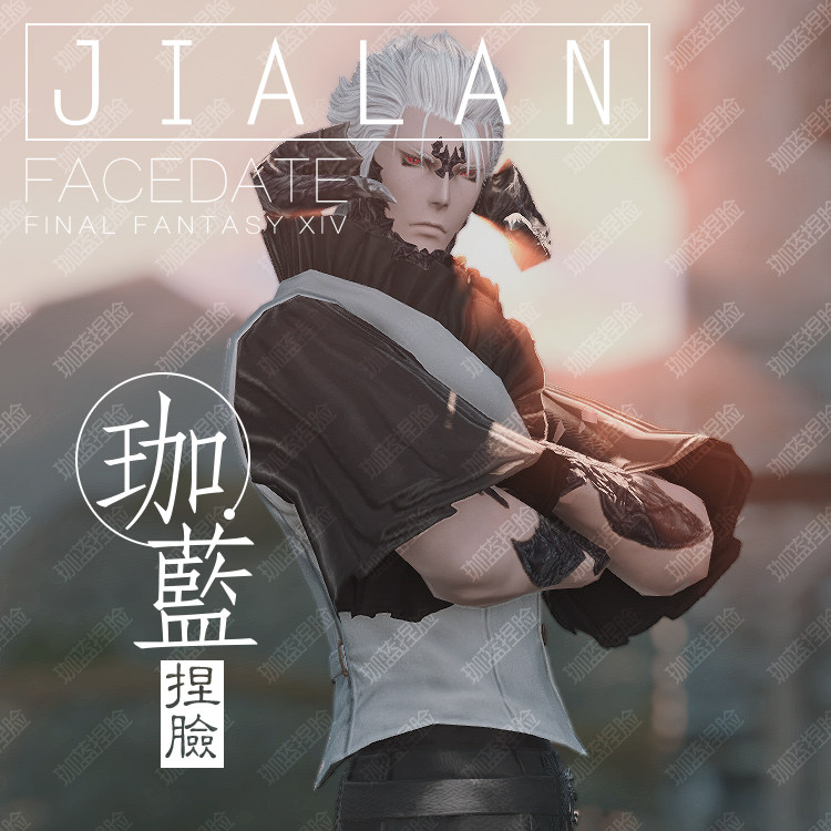 【珈蓝】ff14最终幻想14捏脸数据脸型敖龙族龙男暮晖酷帅【泱】_虎窝淘