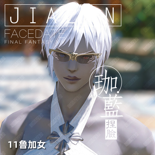 【珈蓝】最终幻想14 ff14捏脸数据脸型 各种族精品合集包 新种族 - 图3