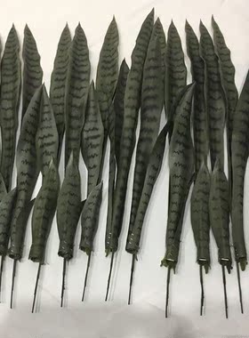 仿真虎皮兰单盆栽装饰室内外绿植