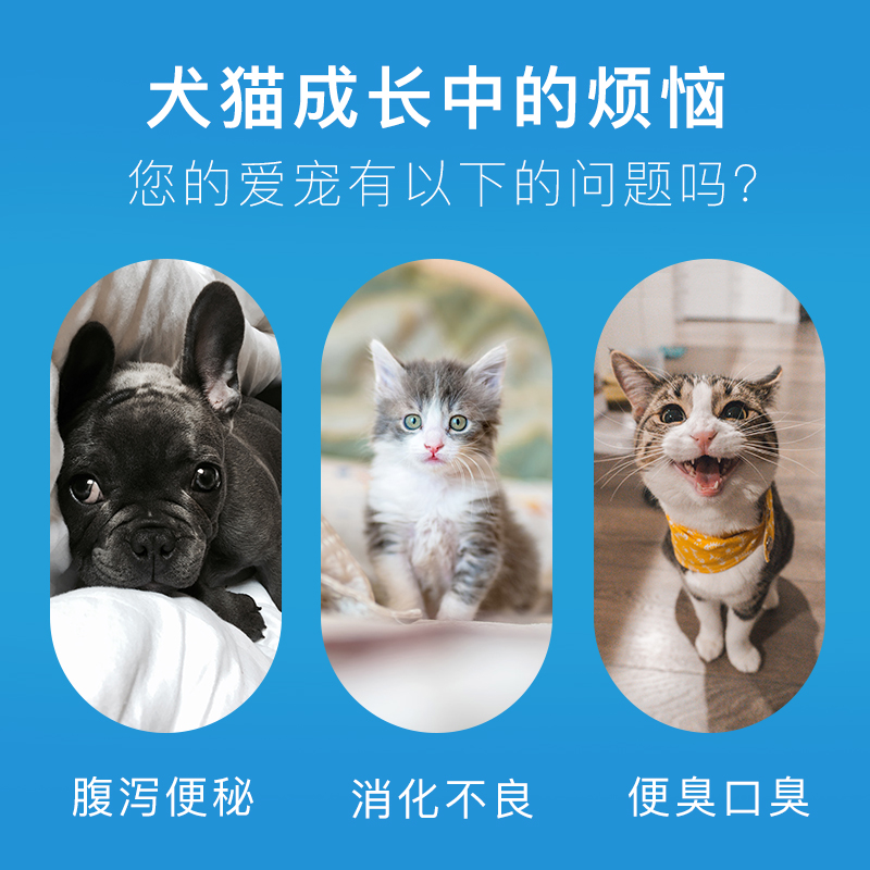 谷登肠胃宝5g*10包调理肠胃狗狗酵母素猫咪防腹泻宠物益生菌