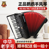 Parrot Accordion Instruments Adult Begs specialties 60 96120 Children 48 bass playing starter accordion