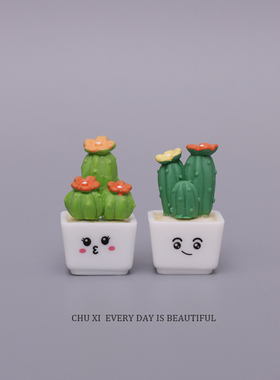 迷你仙人掌多肉树办公桌面摆件