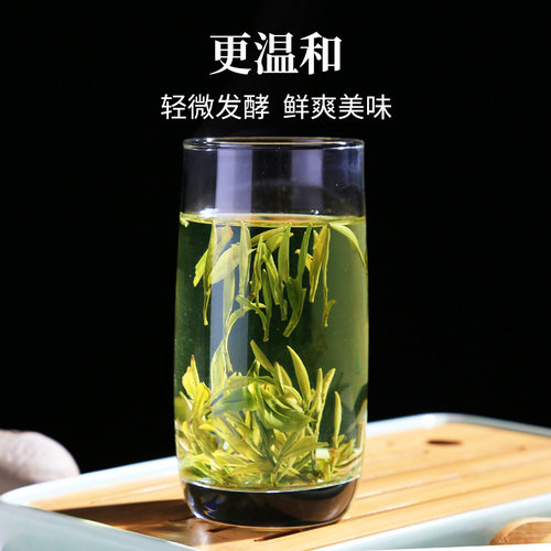 【百亿】2026新茶上市徽六一级霍山黄芽茶叶黄茶春茶徽青100g - 图2