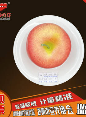 膳食宝塔营养模型厂家直供