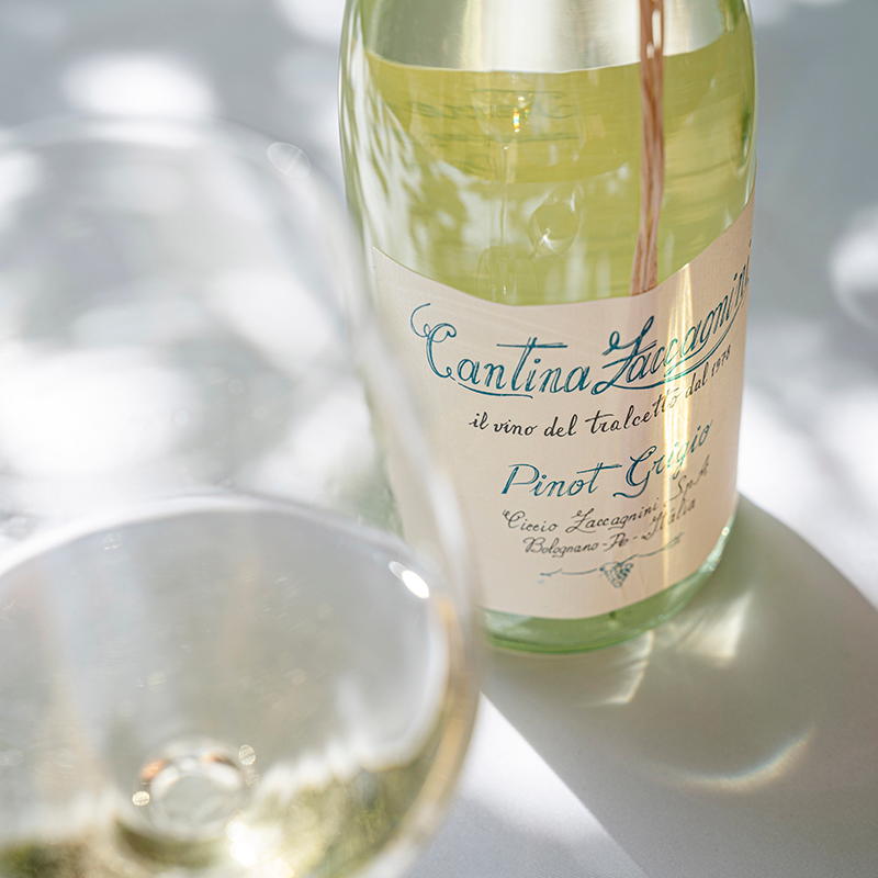 苹果雪梨小白花！意大利名庄进口莎泽卡尼尼树枝灰皮诺干白葡萄酒,淘宝优惠券,粉丝福利购,淘宝优惠卷