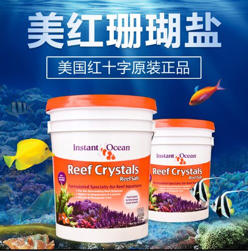 美红珊瑚盐小丑盐海盐鱼缸水族箱LPS软体海水寄居蟹美国红十字 - 图0