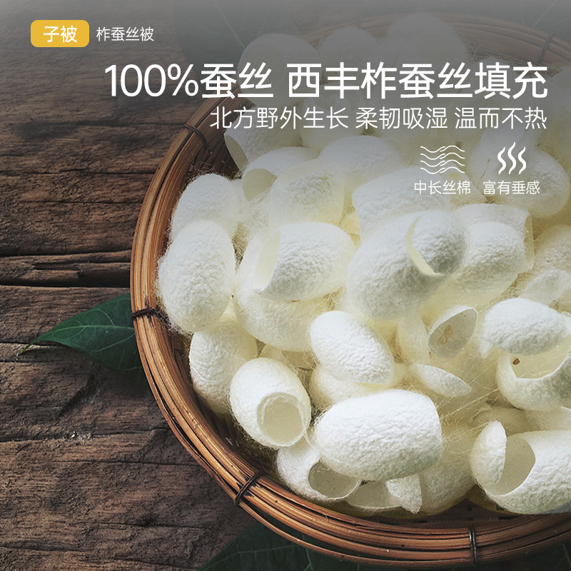 多喜爱蚕丝澳洲羊毛子母被二合一春秋被冬被拉链蚕丝被子被芯学生,淘宝优惠券,粉丝福利购,淘宝优惠卷