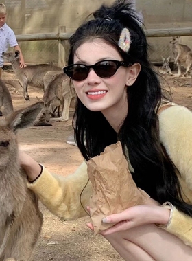 太阳镜椭圆韩版女夏季潮