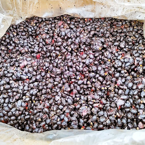 聚兴源麻辣豆豉9.5kg商用整箱餐饮芝麻豆鼓香辣麻辣烫底料冒菜料 - 图2