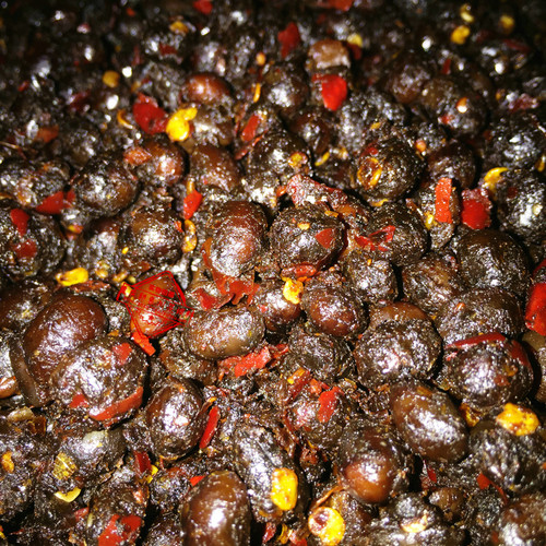 聚兴源麻辣豆豉9.5kg商用整箱餐饮芝麻豆鼓香辣麻辣烫底料冒菜料 - 图0