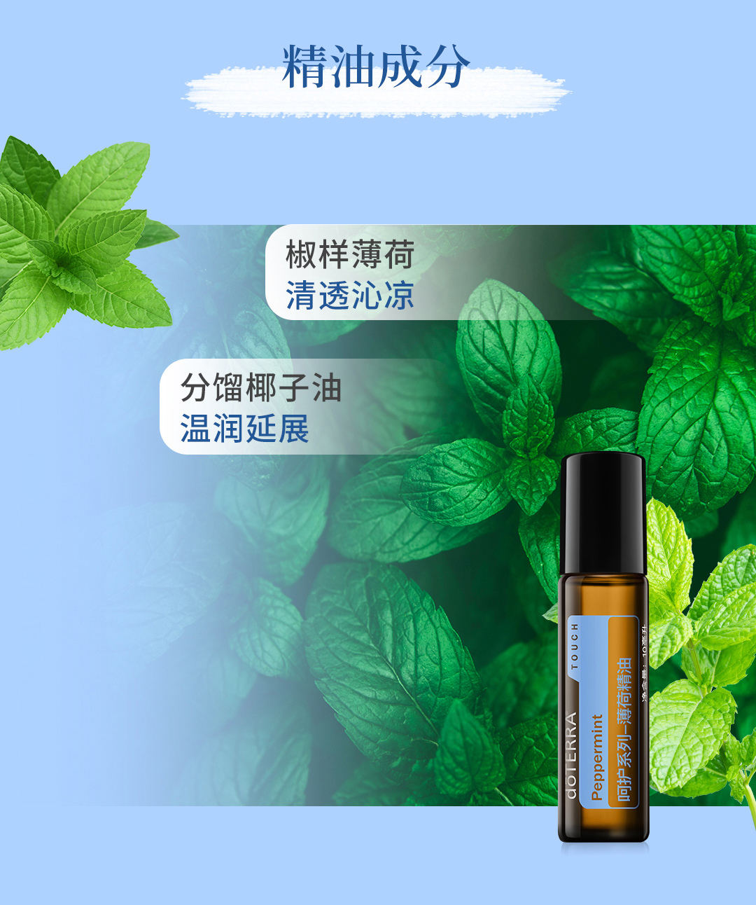 美国多特瑞呵护薄荷精油正品doTERRA缓解头疼提升免疫舒缓10ml - 图1