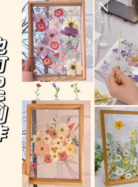 干花压花相框亚克力母亲节手工diy材料植物树叶标本透明玻璃画框