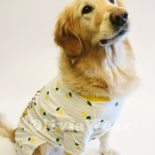 Большая собачья анти -сбоя