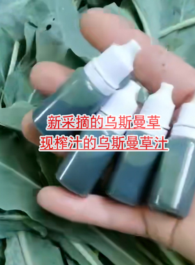 乌斯曼草棒传统手工制作眉毛通用