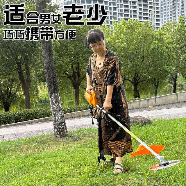 48-72v plug-in battery car 220v lawn mower high power