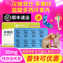 Hanvey spotting Doconhine hydrochloric acid doxycycline Kittens Admonic Admonition Dogs Cough Cat Nasal treatment Medicine