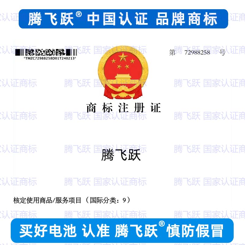 腾飞跃直销原装3600MA大容量进口电池智能锁门锁指纹锁专用锂电池,淘宝优惠券,粉丝福利购,淘宝优惠卷