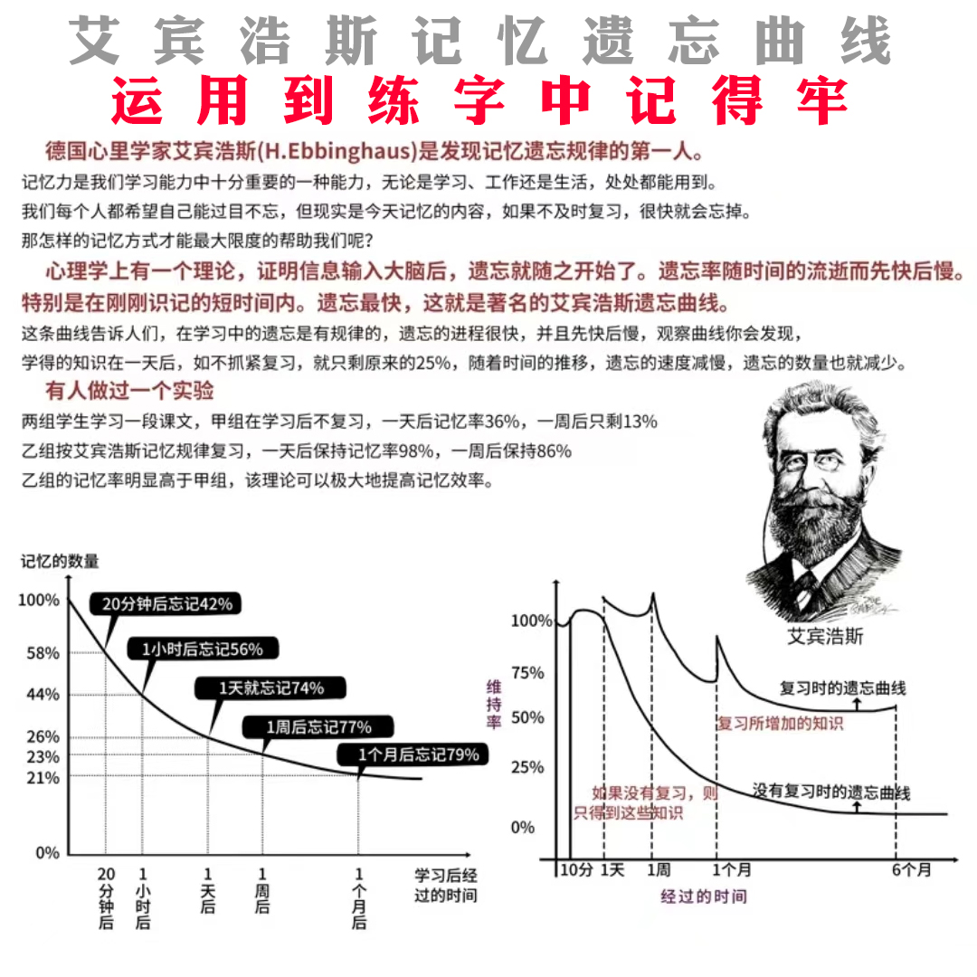 练字小学生专用语文一三四五六二年级上下册写字识字硬笔人教部编 - 图2