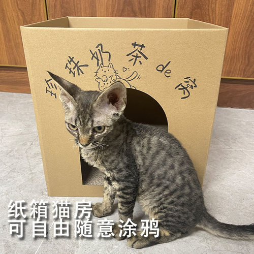 猫抓板猫咪家用方形猫窝猫床猫屋耐磨不掉屑瓦楞纸房子纸箱大号 - 图0