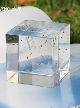立方体植物标本亚克力桌面摆件