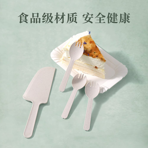 食客工具长方形纸盘蛋糕刀叉盘套装一次性油画风塑料加厚生日餐具 - 图1