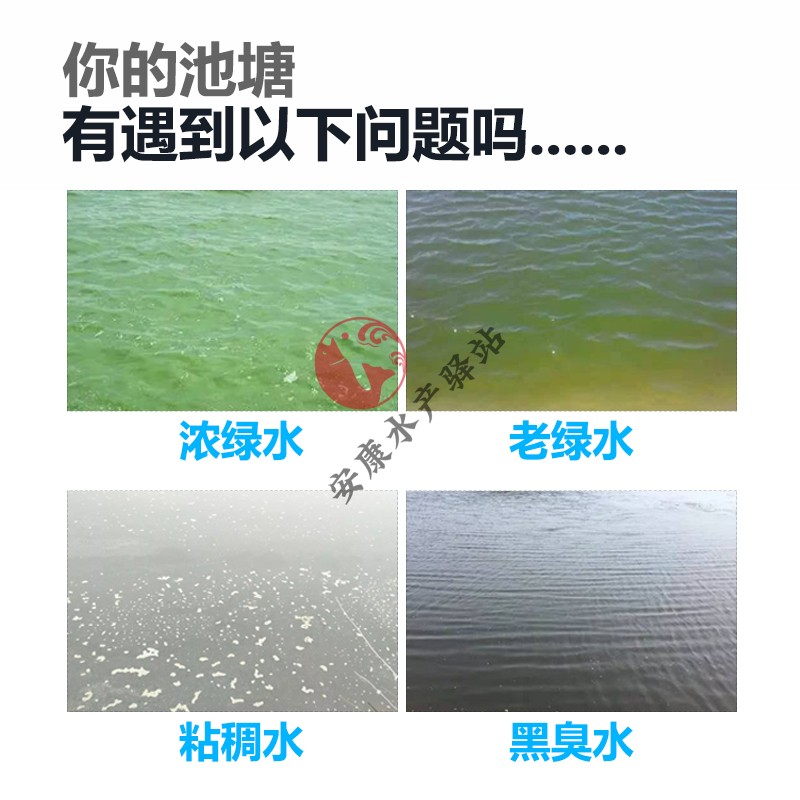 油速水膜水泡粘稠产养殖鱼塘质净水浓沫水绿水绿水黑净化老臭消除-图0