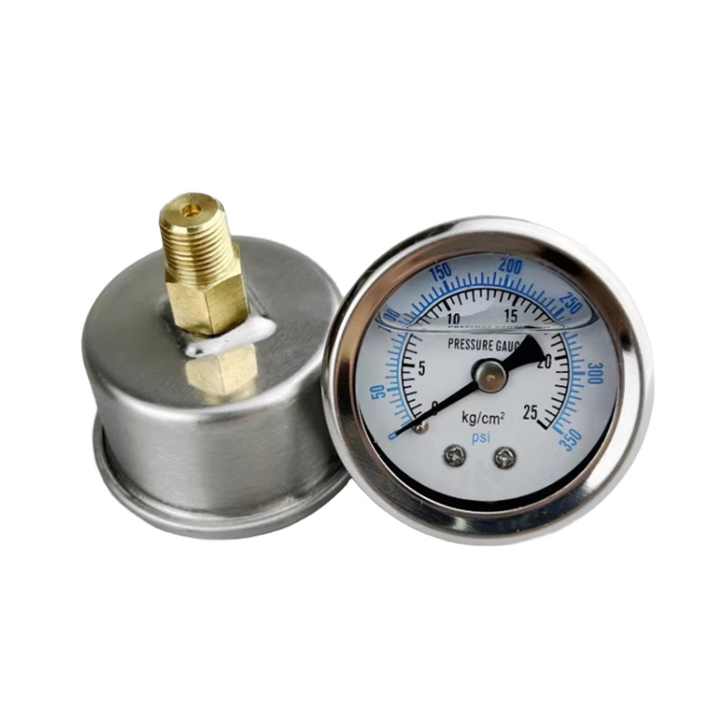 气动压力表法兰压力表 Y40/50/60ZT100轴向带边压力表玻璃面带边 - 图0