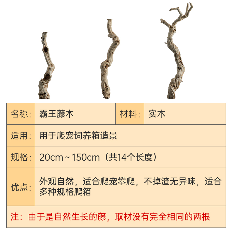 爬宠霸王藤木造景饲养箱装饰鬃狮蜥宠物蛇攀爬藤条树栖天然木头-图3