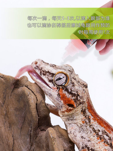 抗菌消炎爬虫滴眼液乌龟蜥蜴守宫卡皮白眼肿胀眼睛结膜发炎眼药水 - 图2