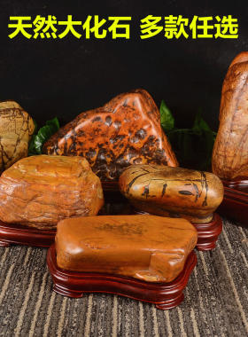 广西客厅大化石天然天然